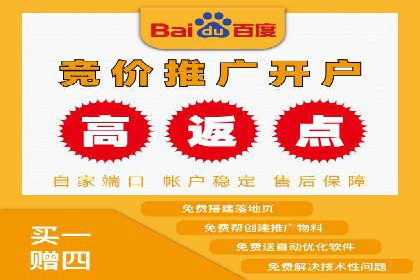 竞价广告实战：XX品牌如何通过竞价提升品牌影响力